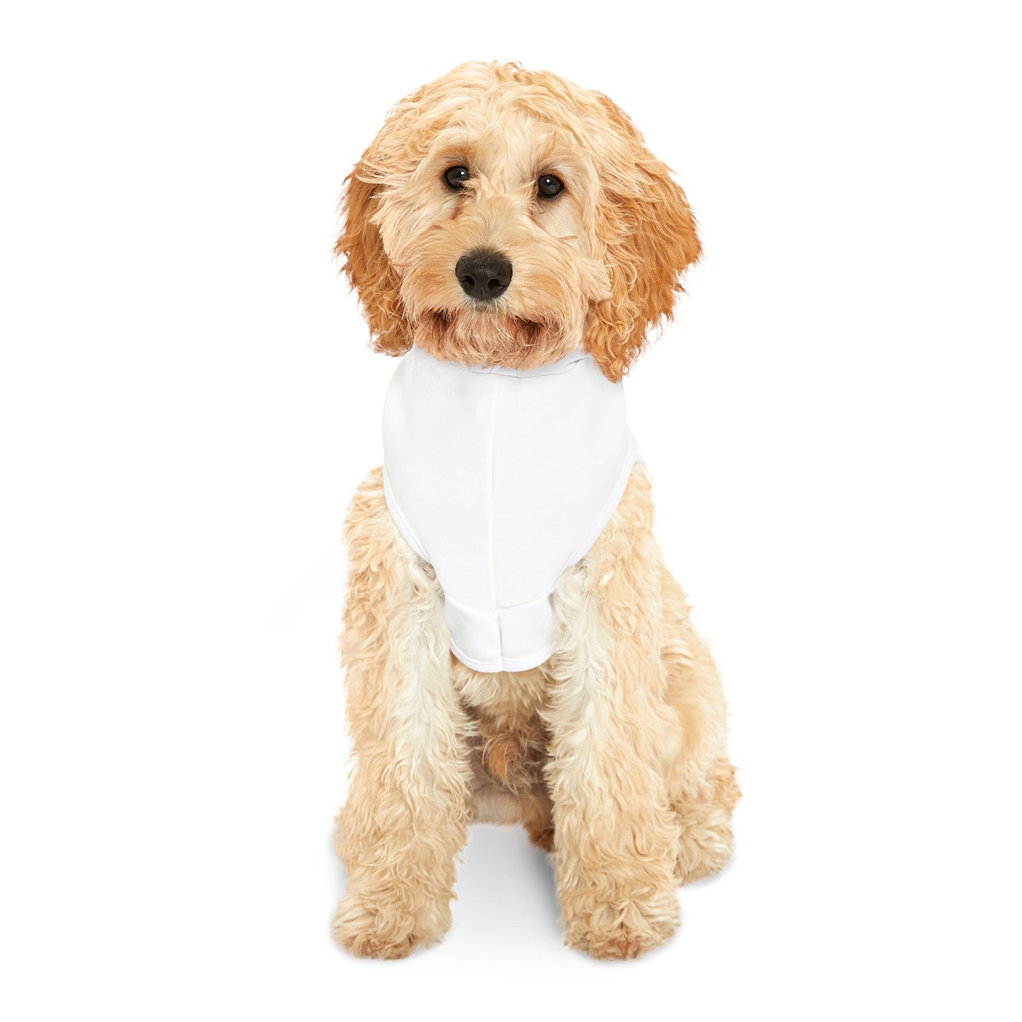 Pickle Sisters Pet Hoodie